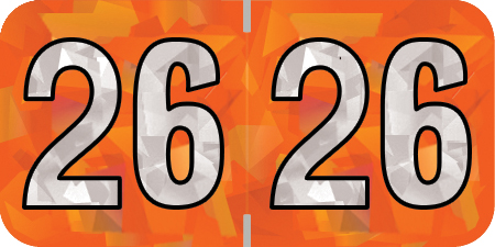 2026 Orange Year Labels - ORANGE Inch, 500 Labels