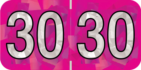 HOLOGRAPHIC 2030 FUCHSIA Year Label 3/4"H X 1-1/2"W END TAB 500/ROLL