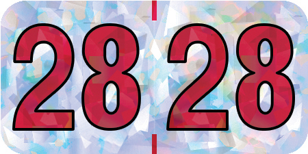 2028 Silver Year Labels - 3/4" Inch, 500 Labels