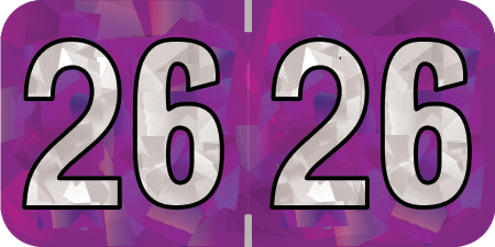2026 Purple Year Labels - PURPLE Inch, 500 Labels