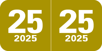 2025 Gold Year Labels - 3/4 Inch, 500 Labels