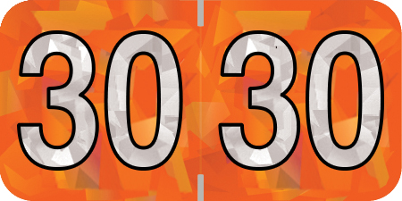 HOLOGRAPHIC 2030 ORANGE Year Label 3/4"H X 1-1/2"W END TAB 500/ROLL