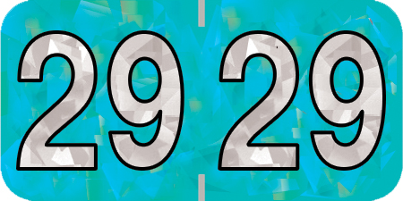 HOLOGRAPHIC 2029 AQUA Year Label 3/4"H X 1-1/2"W END TAB 500/ROLL