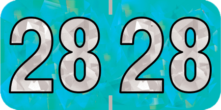 2028 Aqua Year Labels - 3/4" Inch, 500 Labels