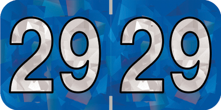 HOLOGRAPHIC 2029 BLUE Year Label 3/4"H X 1-1/2"W END TAB 500/ROLL