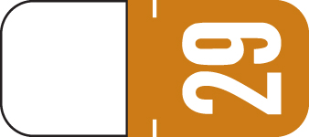 TAB 2029 BROWN Year Label 1-1/8"H X 1/2"W TOP TAB 500/RL