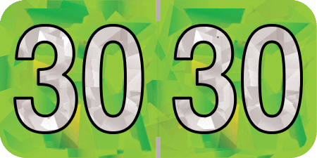 HOLOGRAPHIC 2030 LIME Year Label 3/4"H X 1-1/2"W END TAB 500/ROLL