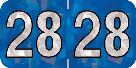 2028 Blue Year Labels - 3/4" Inch, 500 Labels