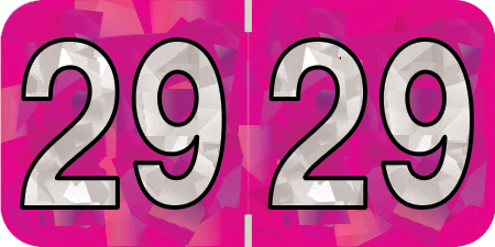 HOLOGRAPHIC 2029 FUCHSIA Year Label 3/4"H X 1-1/2"W END TAB 500/ROLL