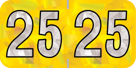 2025 Yellow Year Labels - 3/4" Inch, 500-Labels