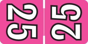 2025 Fuschia Year Labels - JWL Inch, 500/Labels