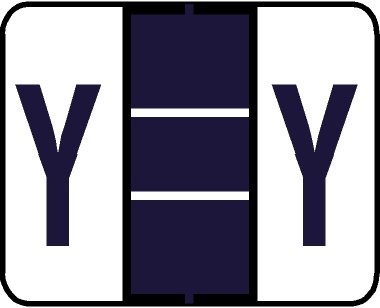 A-Z Labels Tab Compatible 1" Kimdura 'Y' PURPLE - 250/Pkg