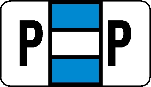 A-Z Labels POS Compatible 15/16" 'P' LT BLUE - 240/Pkg