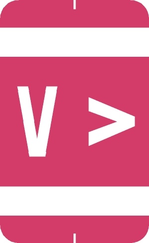 A-Z Labels Smead Compatible 1-5/8" 'V' PINK - 108/Pkg