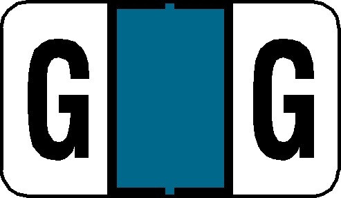 A-Z Labels Jeter Compatible 15/16" 'G' LT BLUE - 240/Pkg