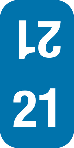 Yearcode Labels Smead Compatible 1" Top Tab '21' BLUE - 500/Roll
