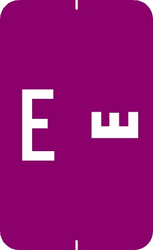 A-Z Labels Smead Compatible 1-5/8" 'E' PURPLE - 250/Roll