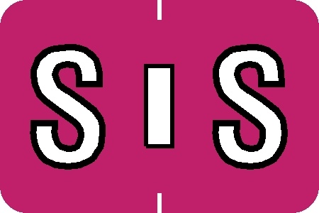 A-Z Labels Colwell Compatible 1" 'S' FUCHSIA - 500/Roll