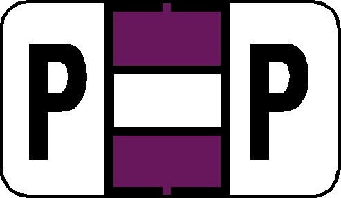 A-Z Labels Jeter Compatible 15/16" 'P' PURPLE - 252/Pkg