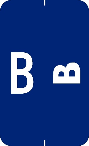 A-Z Labels Smead Compatible 1-5/8" 'B' DK BLUE - 250/Roll