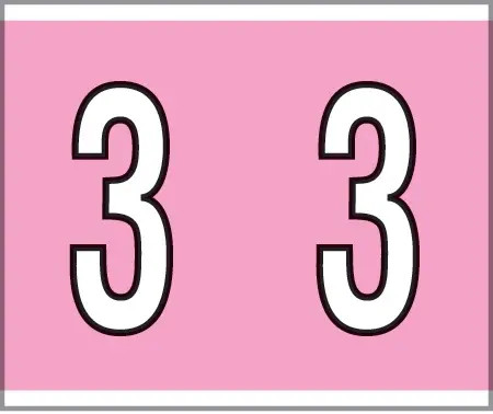 0-9 Labels Kardex Compatible 
1-1/4" '3' PINK - 500/Box