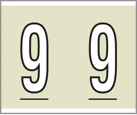 0-9 Labels Kardex Compatible 
1-1/4" '9' TAN - 500/Box