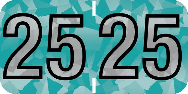 Yearcode Labels PMA Holographic Compatible 3/4" '25' ORANGE - 500/Roll