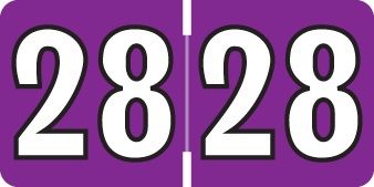 2028  Colwell Purple Year Labels  1/2" x 1"  Labels 250/pk