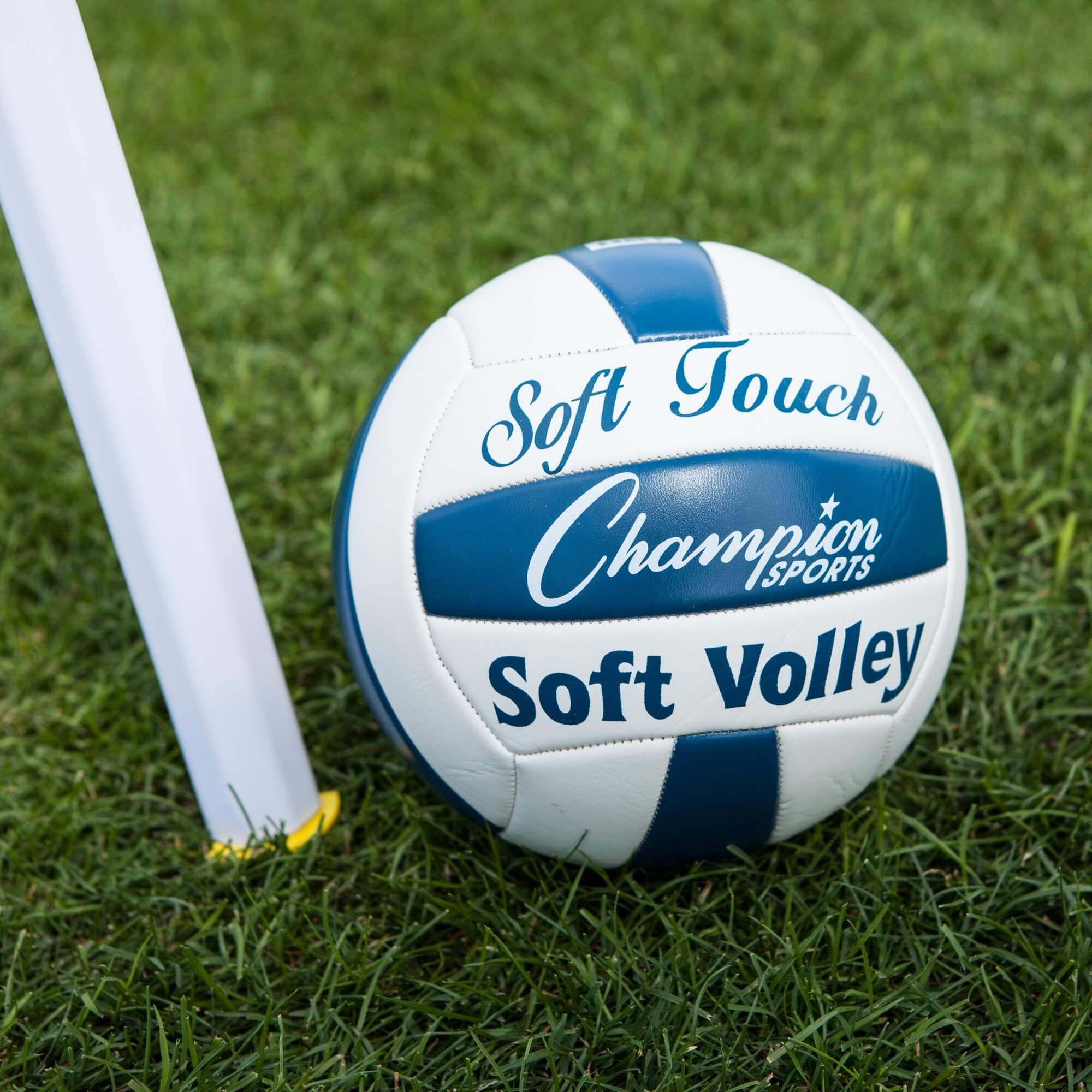 Champion Deluxe Volleyball Set