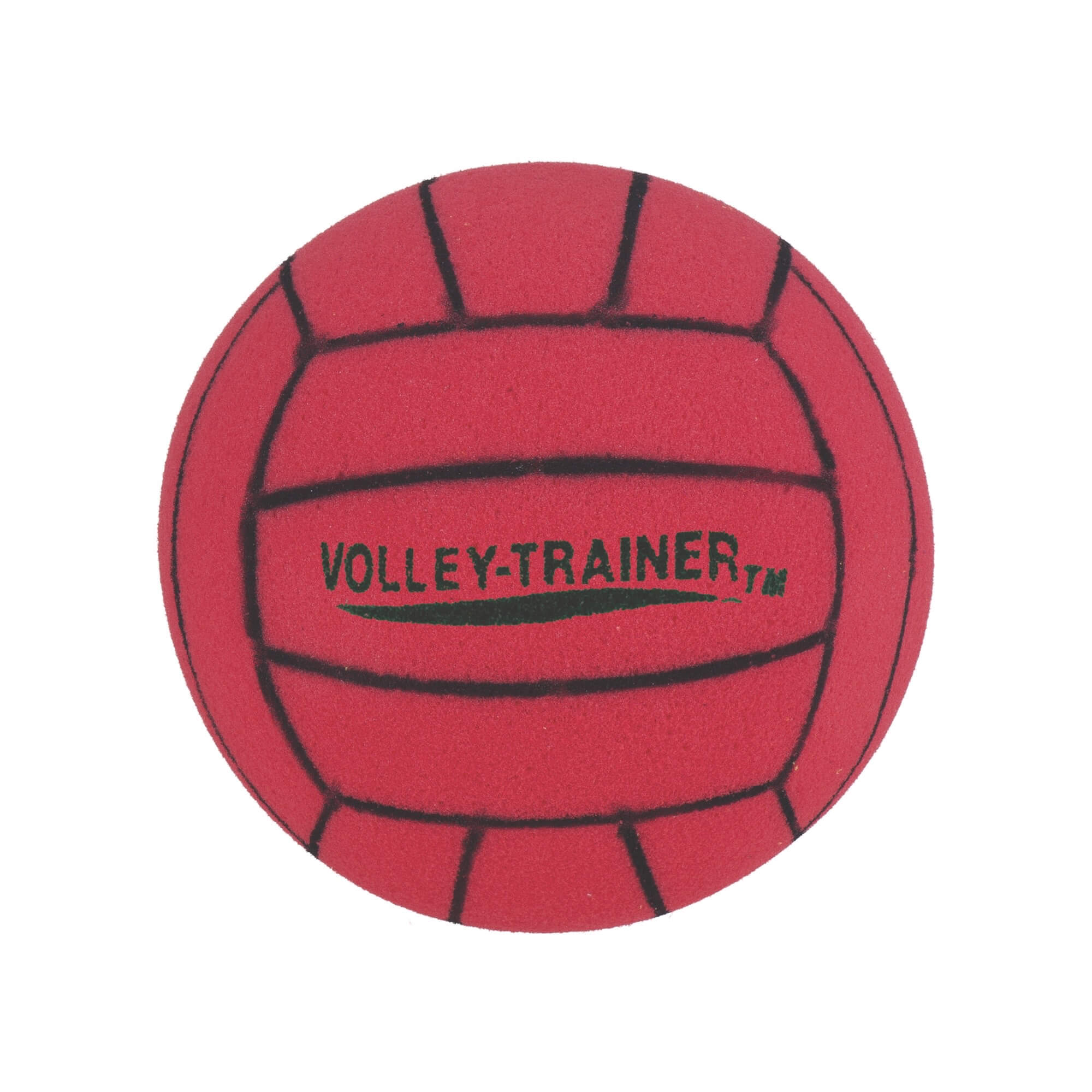 Champion Foam Volleyball