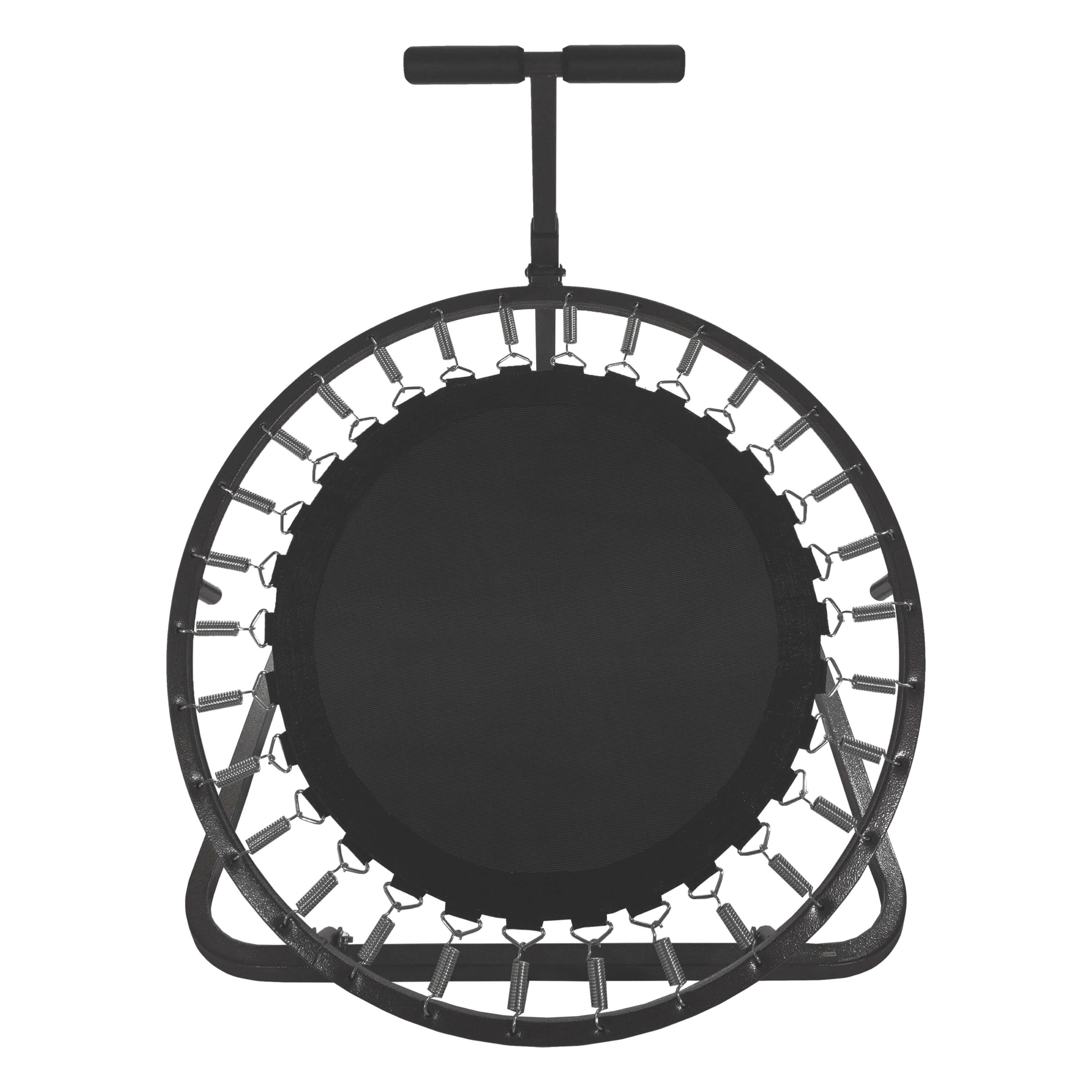 Champion Medicine Ball Rebounder