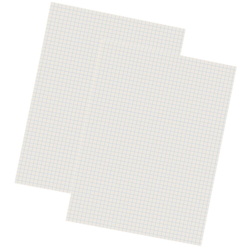 Grid Ruled Drawing Paper, White, 1/4'' Quadrille Ruled, 9'' x 12'', 500 Sheets Per Pack, 2 Packs