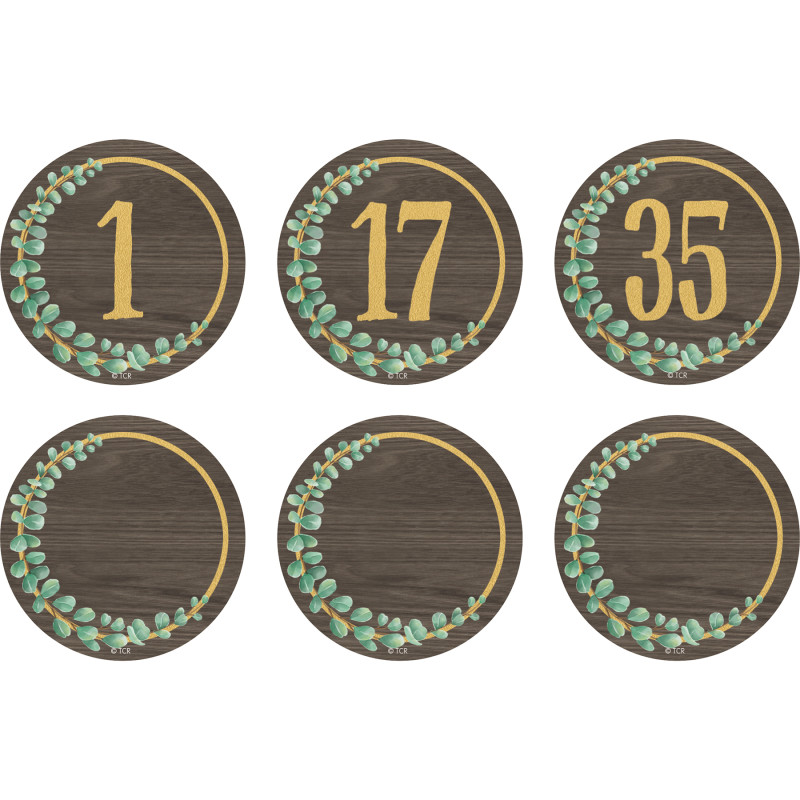 Eucalyptus Numbers Magnetic Accents, 2-1/4'', 42 Per Pack, 3 Packs