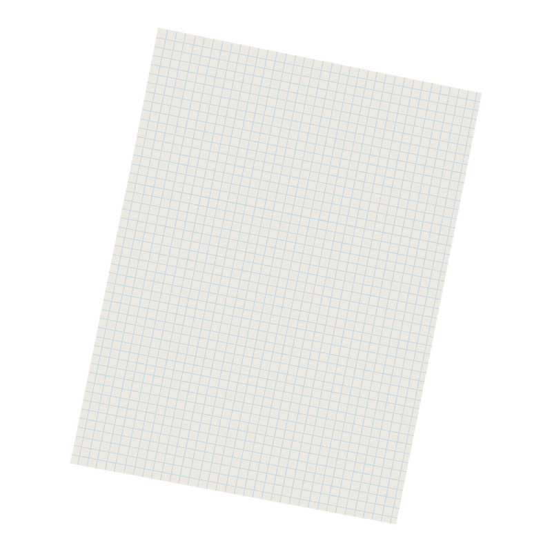 Grid Ruled Drawing Paper, White, 1/4'' Quadrille Ruled, 9'' x 12'', 500 Sheets