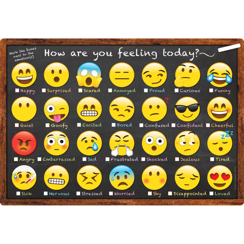 Smart Poly Chart, 13'' x 19'', Emotions Icon How Are You Feeling