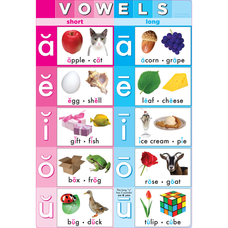 Smart Poly Chart Vowels, 13'' x 19''