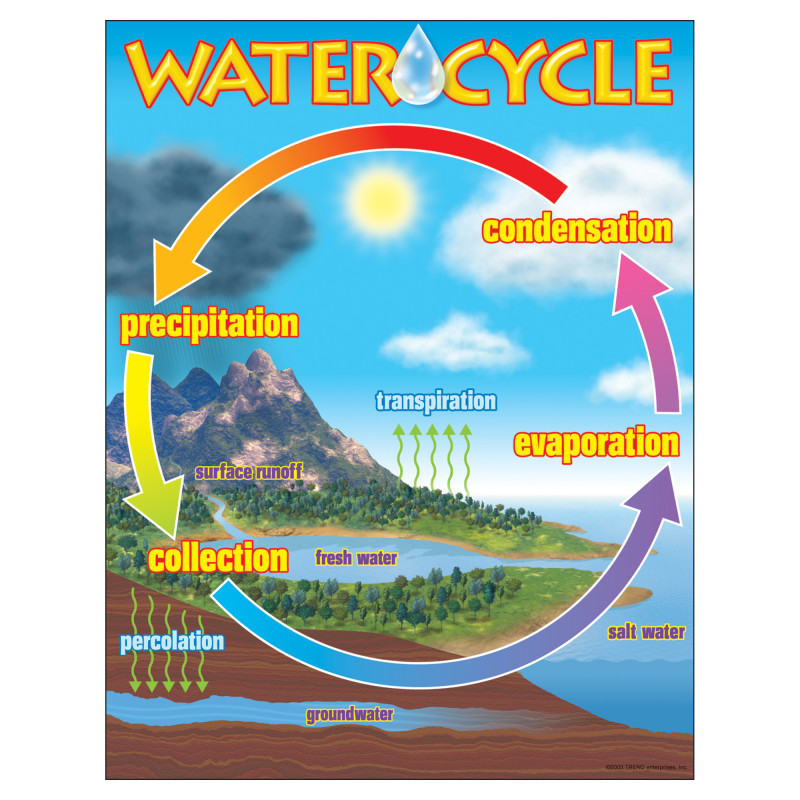 The Water Cycle Learning Chart, 17'' x 22''