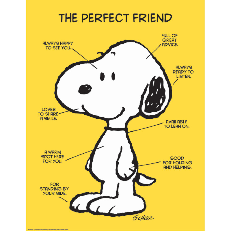 Peanuts The Perfect Friend Poster, 17'' x 22''