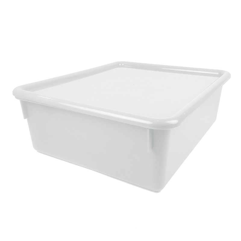 Double Stowaway Tray with Lid, Clear