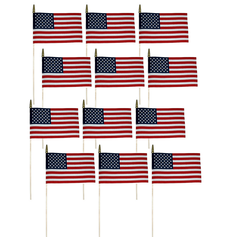 Verona Brand ..iniature Flag, 8'' x 12'', Pack of 12