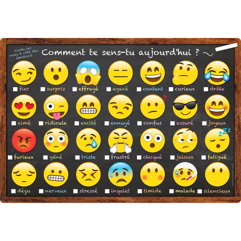 Smart Poly French Immersion Chart, 13'' x 19'', Emotions Icon, Comment te sens-tu aujourd'hui ? (How Are You Feeling Today?)