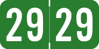 SAV-TYME 2029 GREEN Year Label 3/4"H X 1-1/2"W END TAB 500/ROLL