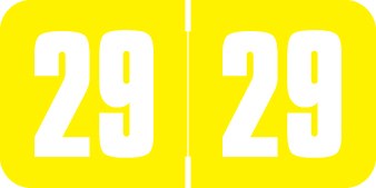 SAFEGUARD 2029 YELLOW Year Label 3/4"H X 1-1/2"W END TAB 500/ROLL