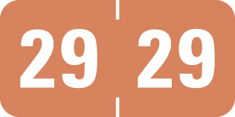 PROFILE-TAB 2029 LT BROWN Year Label 3/4"H X 1-1/2"W END TAB 500/ROLL