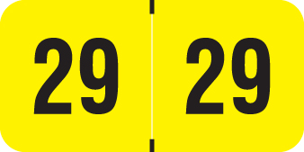 PMA FLUORESCENT 2029 FL YELLOW Year Label 3/4"H X 1-1/2"W END TAB 500/ROLL