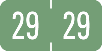 DIGI COLOR 2029 Green Year Label 15/16'H X 1-1/4"W END TAB 500/ROLL