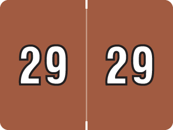 DATAFILE 2029 BROWN Year Label 15/16"H X 1-1/4"W END TAB 500/RL