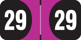ARDEN 2029 FUCHSIA Year Label 3/4"H X 1-1/2"W END TAB 500/RL
