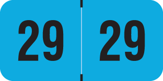 PMA FLUORESCENT 2029 FL BLUE Year Label 3/4"H X 1-1/2"W END TAB 500/ROLL