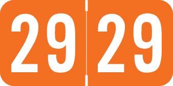 ACME/S&W 2029 ORANGE Year Label 3/4"H X 1-1/2"W END TAB 500/RL